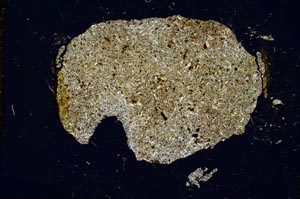 Cross Polarized, S781