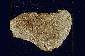 Cross Polarized, S782