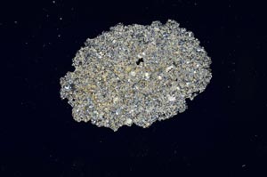 Cross Polarized, S786/A