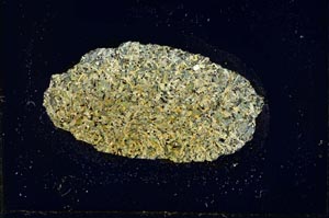 Cross Polarized, S786/B