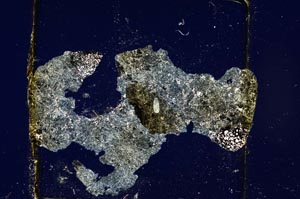 Cross Polarized, S787