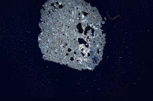 Cross Polarized, S813