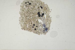 Plane Polarized, S813