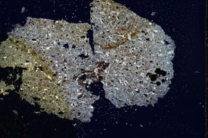 Cross Polarized, S813/B