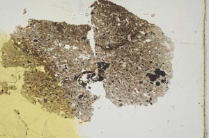 Plane Polarized, S813/B