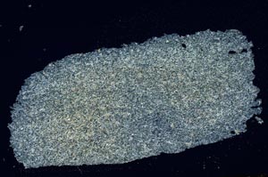 Cross Polarized, S814