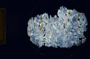 Cross Polarized, S845