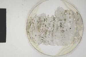 Plane Polarized, S845