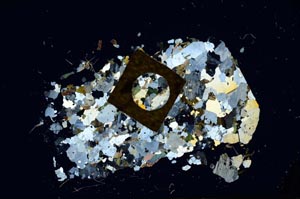 Cross Polarized, S850/B