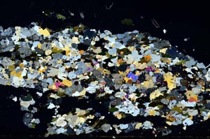 Cross Polarized, S850/C