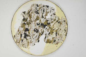 Plane Polarized, S850/D