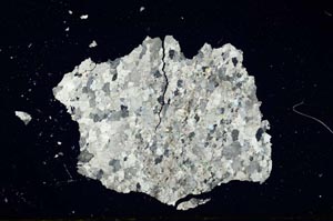 Cross Polarized, S892