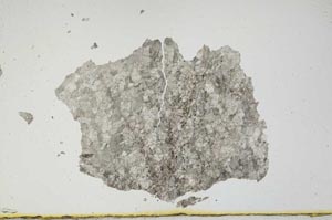 Plane Polarized, S892