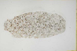 Plane Polarized, S907