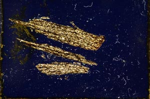 Cross Polarized, S926