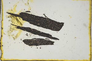 Plane Polarized, S926