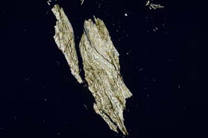 Cross Polarized, S927