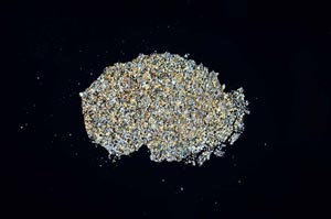 Cross Polarized, S929