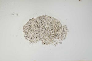 Plane Polarized, S929