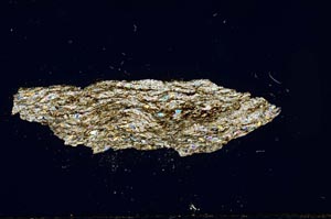 Cross Polarized, S930