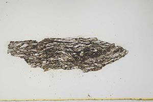 Plane Polarized, S930