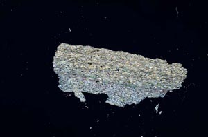 Cross Polarized, S931