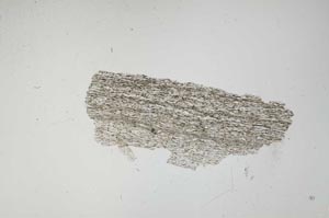 Plane Polarized, S931