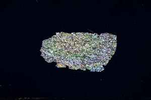 Cross Polarized, S932