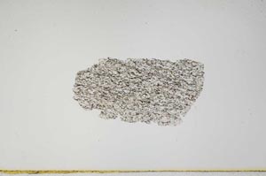 Plane Polarized, S932