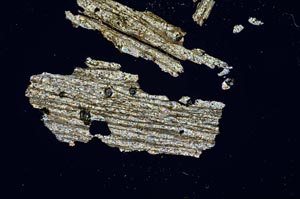 Cross Polarized, S938