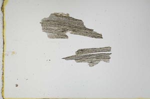 Plane Polarized, S939