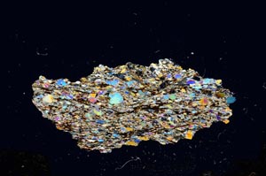 Cross Polarized, S942