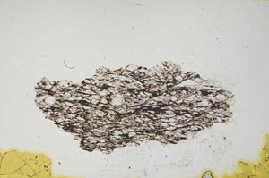 Plane Polarized, S942