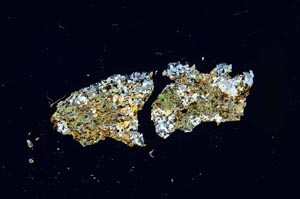 Cross Polarized, S944