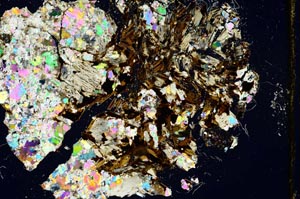 Cross Polarized, S946