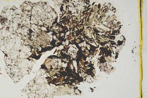 Plane Polarized, S946