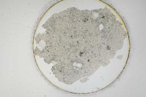 Plane Polarized, S1007