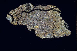 Cross Polarized, S10382