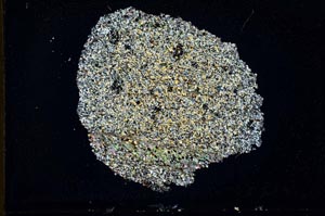 Cross Polarized, S10384