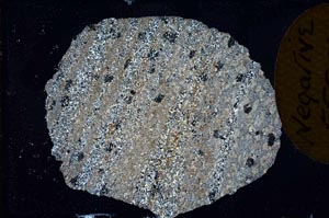 Cross Polarized, S10391