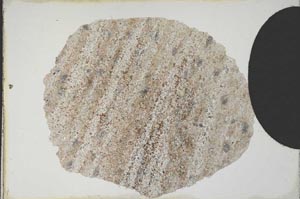 Plane Polarized, S10391