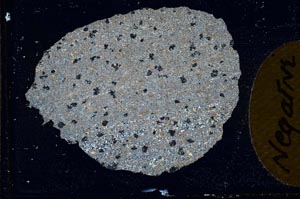 Cross Polarized, S10392