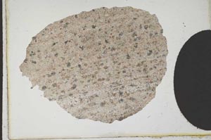 Plane Polarized, S10392