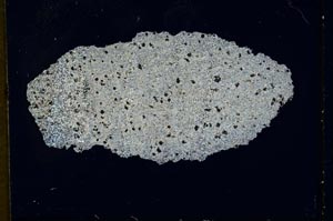 Cross Polarized, S10393