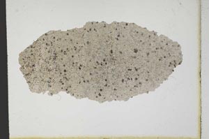 Plane Polarized, S10393