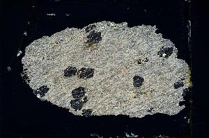 Cross Polarized, S10394