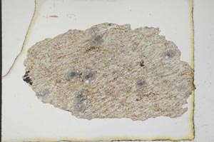 Plane Polarized, S10394