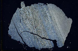 Cross Polarized, S10395