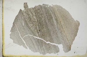 Plane Polarized, S10395