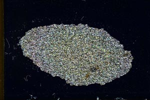 Cross Polarized, S10396